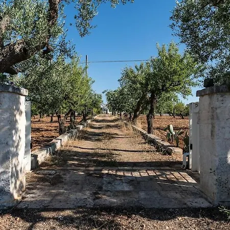 I Trulli Di Morena, Swimming Pool And Relax Apartment